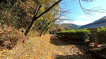gx011285_x264.mp4_snapshot_14.02_thumb.jpg