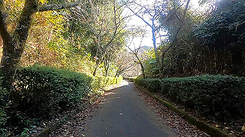 gx011285_x264.mp4_snapshot_15.48_thumb.jpg