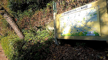 gx011286_x264.mp4_snapshot_00.11_thumb.jpg