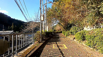gx011286_x264.mp4_snapshot_00.25_thumb.jpg