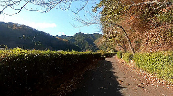 gx011286_x264.mp4_snapshot_01.15_thumb.jpg