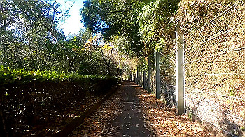 gx011286_x264.mp4_snapshot_01.32_thumb.jpg