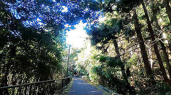 gx011286_x264.mp4_snapshot_05.45_thumb.jpg