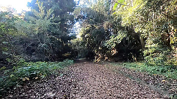 gx011286_x264.mp4_snapshot_11.53_thumb.jpg