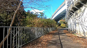 gx011286_x264.mp4_snapshot_12.55_thumb.jpg