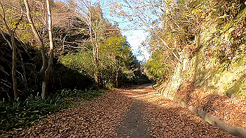 gx011286_x264.mp4_snapshot_13.12_thumb.jpg