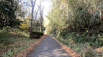 gx011286_x264.mp4_snapshot_14.27_thumb.jpg