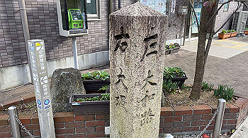 20201203_050956550_ios_thumb.jpg