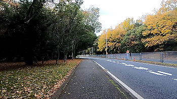 gx011319_x264.mp4_snapshot_03.21_thumb.jpg