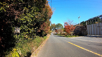 gh011323.mp4_snapshot_00.14_thumb.jpg