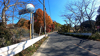 gh011323.mp4_snapshot_00.17_thumb.jpg