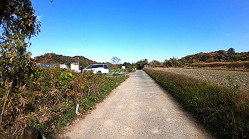 gh011324.mp4_snapshot_00.16_thumb.jpg
