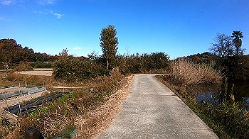 gh011324.mp4_snapshot_00.20_thumb.jpg