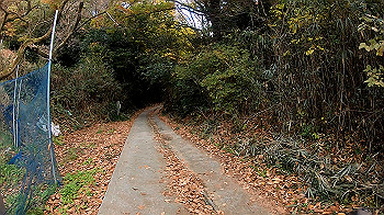 gh011325.mp4_snapshot_00.01_thumb.jpg