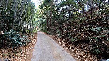 gh011325.mp4_snapshot_00.03_thumb.jpg