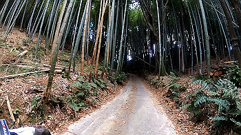 gh011325.mp4_snapshot_00.05_thumb.jpg