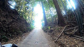 gh011325.mp4_snapshot_00.06_thumb.jpg