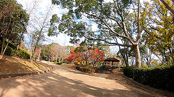 gh011327.mp4_snapshot_00.08_thumb.jpg
