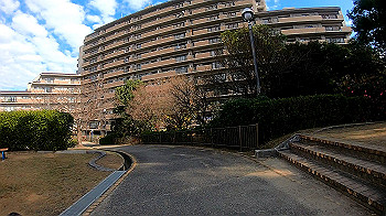 gh011329.mp4_snapshot_00.00_thumb.jpg