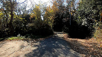gx011321.mp4_snapshot_00.10_thumb.jpg