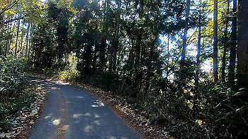 gx011321.mp4_snapshot_00.28_thumb.jpg