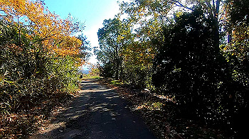 gx011321.mp4_snapshot_00.48_thumb.jpg