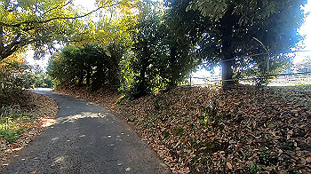 gx011321.mp4_snapshot_01.14_thumb.jpg