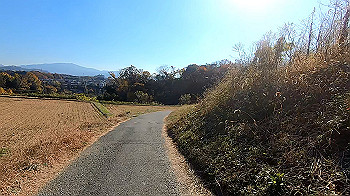 gx011321.mp4_snapshot_01.40_thumb.jpg