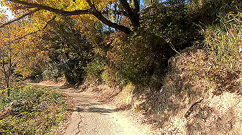 gx011321.mp4_snapshot_05.20_thumb.jpg