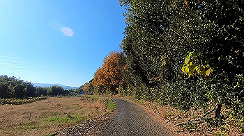 gx011321.mp4_snapshot_06.15_thumb.jpg
