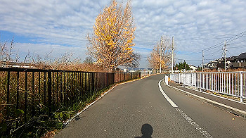 gx011346.mp4_snapshot_01.01_thumb.jpg