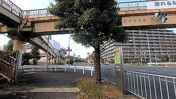 gx011350.mp4_snapshot_11.39_thumb.jpg