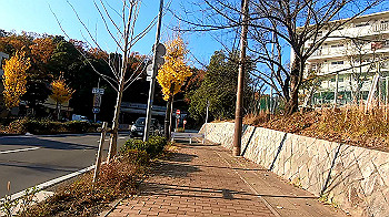 gx011352.mp4_snapshot_00.01_thumb.jpg