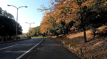 gx011352.mp4_snapshot_00.48_thumb.jpg