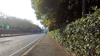 gx011352.mp4_snapshot_01.05_thumb.jpg