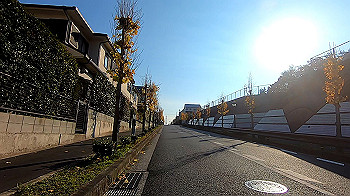 gx021350.mp4_snapshot_04.59_thumb.jpg