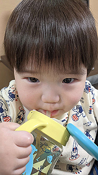 20210116_052647000_ios_thumb.jpg