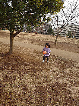 20210126_052934000_ios_thumb.jpg