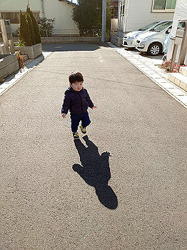 20210129_021653000_ios_thumb.jpg
