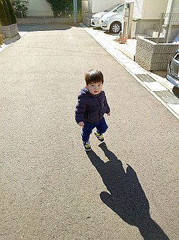 20210129_021659000_ios_thumb.jpg