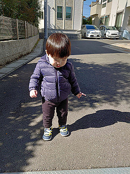 20210216_022503000_ios_thumb.jpg