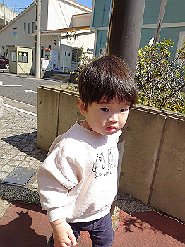 20210323_020603000_ios_thumb.jpg