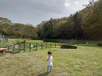 20210329_052800000_ios_thumb.jpg
