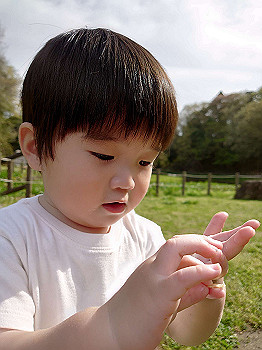 20210329_053038000_ios_thumb.jpg
