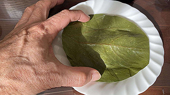 20210103_041704650_ios_thumb.jpg