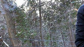 20210104_060824000_ios_x264.mp4_snapshot_00.00_thumb.jpg
