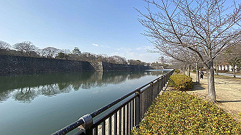 20210114_044600226_ios_thumb.jpg