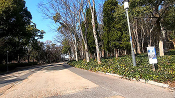 gx011408.mp4_snapshot_00.00_thumb.jpg
