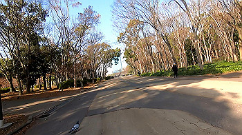 gx011408.mp4_snapshot_00.14_thumb.jpg