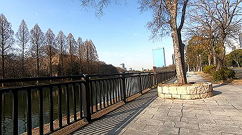 gx011408.mp4_snapshot_00.39_thumb.jpg